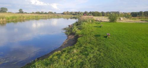 Goniadz Otro | POLE NAMIOTOWE nad rzeką BIEBRZA w GONIĄDZU