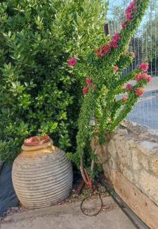 Vlachiotis Casa | Politimis house
