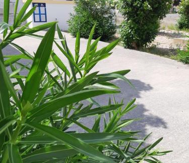 Kefalos Apartamento | POLITIS STUDIOS