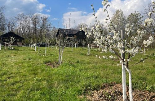 Polovragi Casa | POLOVRAGA - casă la țară cu ciubăr
