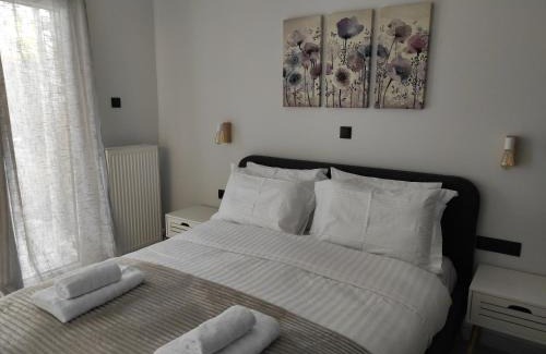 Marousi Apartamento | Polyxenia’s Πλησίον Υγεία - Μητέρα - Ιασώ - ΟΑΚΑ