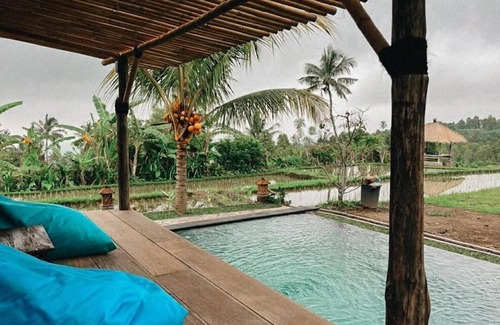 Sukasada Cabina | Pondok Apsari 2