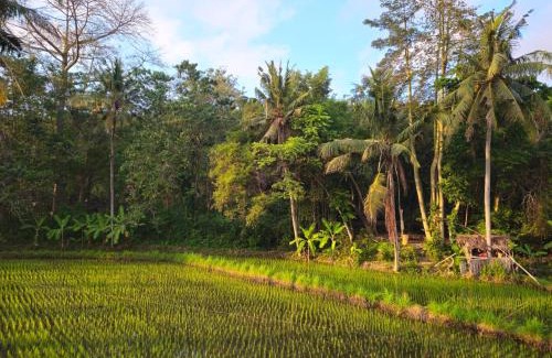 Sengkidu Casa | Pondok Diana Yuki