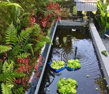 Batunya Casa | Pondok Plantation, Mountain Villa Escape Bedugul