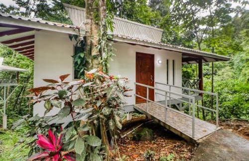 Tres Rios Hotel | Pools Bungalow at Toucan