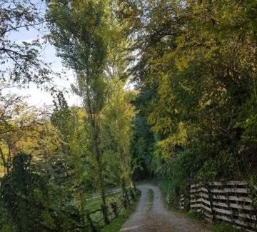 Banostor Casa | "Popov VRT" Banoštor - kuća-vikendica na Dunavu-Fruskoj Gori