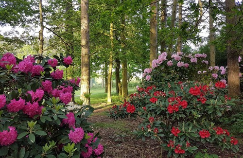 Kenwick Cabina | Poppy Lodge, Kenwick Park Woods, cerca de Louth, Lincolnshire