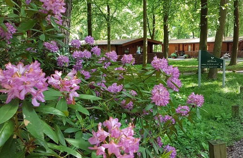 Kenwick Cabina | Poppy Lodge, Kenwick Park Woods, cerca de Louth, Lincolnshire