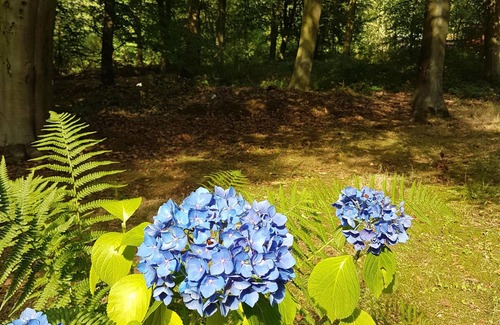 Kenwick Cabina | Poppy Lodge, Kenwick Park Woods, cerca de Louth, Lincolnshire