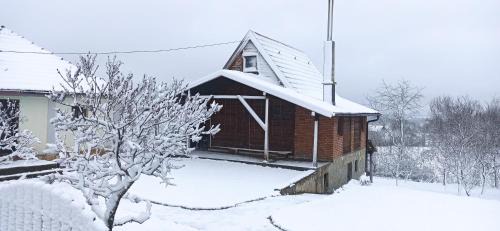 Zlatibor Apartamento | Porodicna brvnara Ivanovic