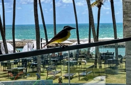 Ipojuca Apartamento | PORTO ALTO RESORT. YOUR PRIVATE PARADISE!