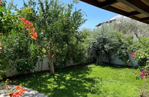 Plepi Casa | Porto Hydra - Villa 44