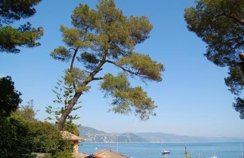 Pedale Apartamento | Portofino Seaview Apartment, 50 meters from the beach, free parking, air conditioning