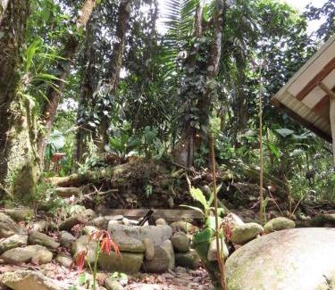 San Luis Otro | Posadas entre el bosque