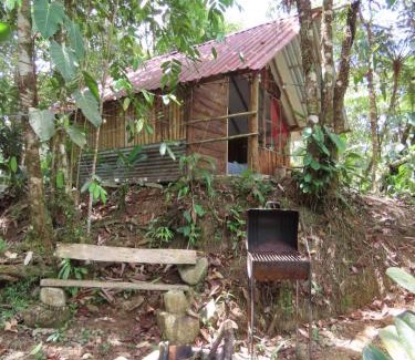 San Luis Otro | Posadas entre el bosque
