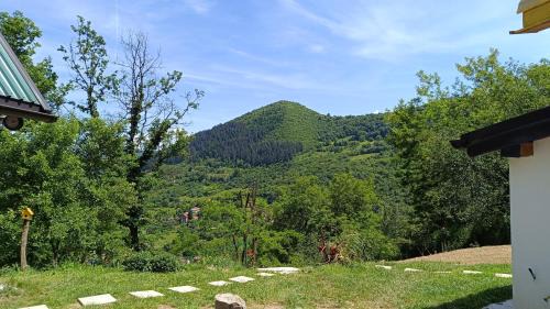 Visoko Casa | Positive vibes