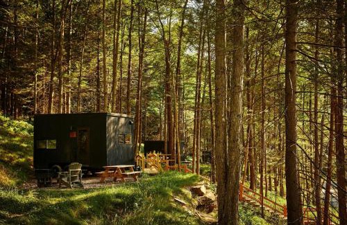 McCall Creek Otro | Postcard Cabins Homochitto