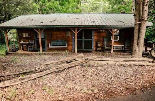 Candler Cabina | Potting Shed Cabin: 2-night minimum