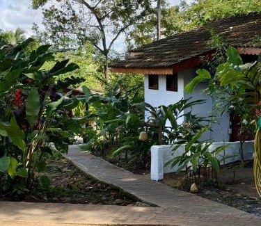 Velha Boipeba Hotel | Pousada Coco Dendê