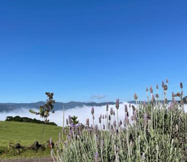 Urubici Chalet De Esquí | Pousada Colina dos Ventos - Cabana Alpha