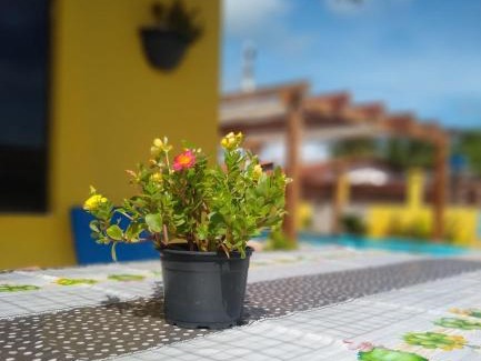Rio Tinto Apartamento | Pousada dos Sonhos