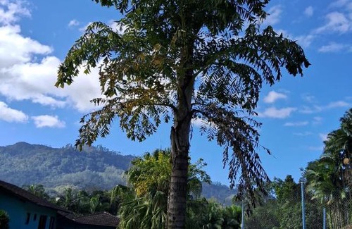 Benedito Novo Casa | Pousada Espaço Garden