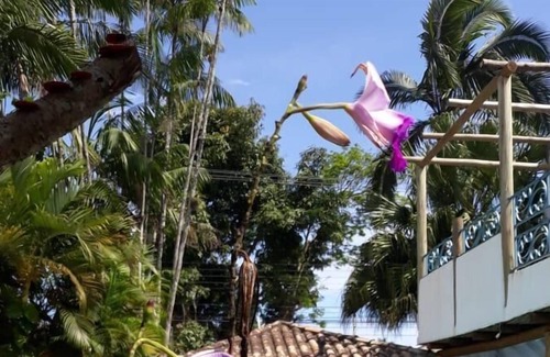 Barra da Lagoa Hotel | Pousada Ilha de Itaka