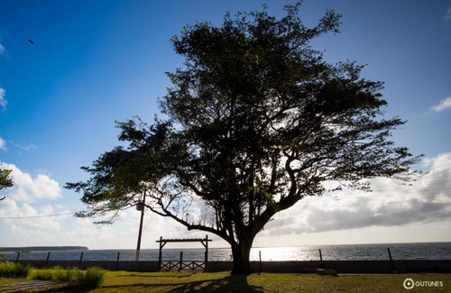 Salvaterra Casa | Pousada Marajó