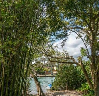 Barra da Lagoa Chalet De Esquí | Pousada Nautikus - Barra da Lagoa