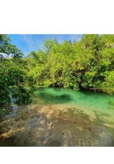 Aurora do Tocantins Apartamento | Pousada Serra da cruz