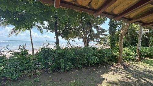 Velha Boipeba Hotel | Pousada Tassimirim