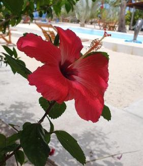 Caicara Hotel | Pousada Unidos