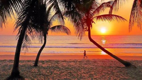 Jardim Oceania Cama Y Desayuno | POUSADA VENTO NORTE CAMA & CAFÉ SUÍTES INDIVIDUAIs