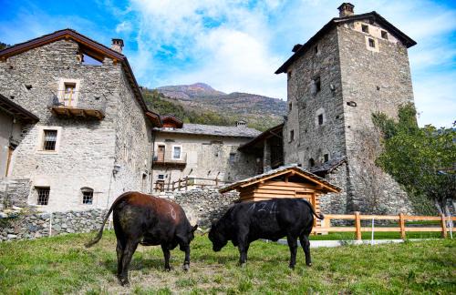 Chantignan Apartamento | Povillus - Dimora Medievale