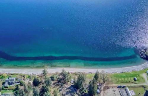 Powell River Apartamento | Powell River Pine Haven
