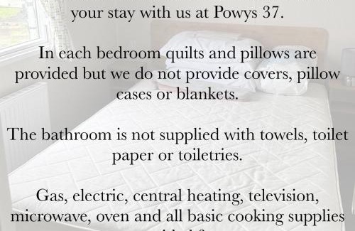 Borth Complejo | Powys 37
