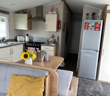 Borth Complejo | Powys 37