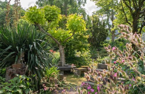 Hansweert Casa | Prachtig genieten in het groen met royale tuin