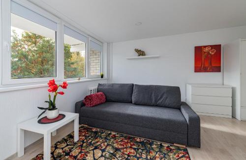 Kaunas Apartamento | Pramonės Apartment #12 by PoloApartments