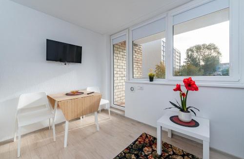 Kaunas Apartamento | Pramonės Apartment #12 by PoloApartments
