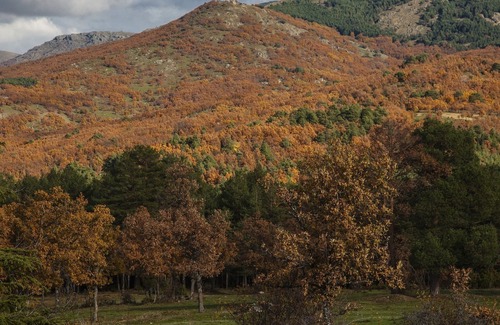 Rascafria Chalet De Esquí | Preciosa Casa de Campo Para Disfrutar del Valle del Lozoya con un Inmenso Jardín