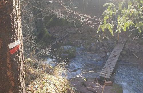 La Pobla de Lillet Apartamento | Precioso apartamento en el Pirineo Catalán
