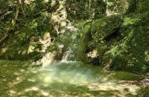La Pobla de Lillet Apartamento | Precioso apartamento en el Pirineo Catalán