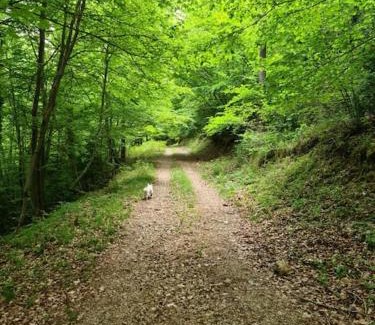 La Pobla de Lillet Apartamento | Precioso apartamento en el Pirineo Catalán