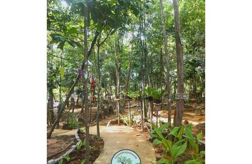 Koh Rong Otro | Prek KongKang Eco-Camping