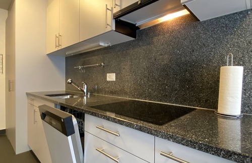 Sankt Alban Casa | Premium 3 Bedroom Apartment in Central Basel