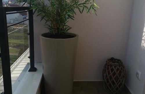 Jagodina Apartamento | PREMIUM APARTMAN