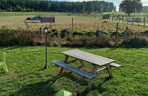 Cerans-Foulletourte Cabina | Cabaña-Habitación con desagüe-Premium-Vista al Jardín-Séjour roulotte