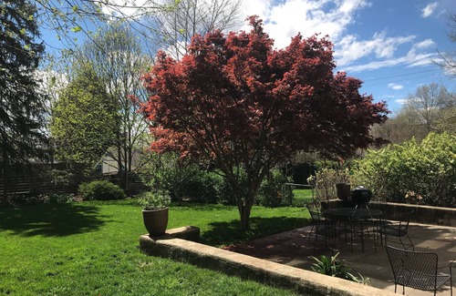 Belmont Casa | Premium Downtown Charlottesville 1900's Renovated Abode en el barrio de Belmont