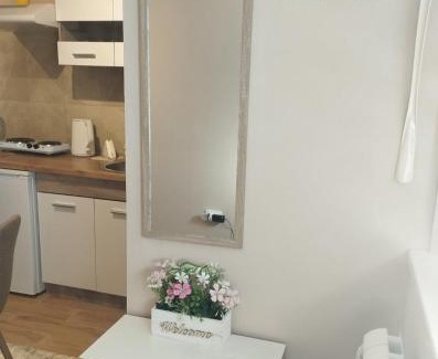 Novi Banovci Apartamento | Prenoćište Lana 3